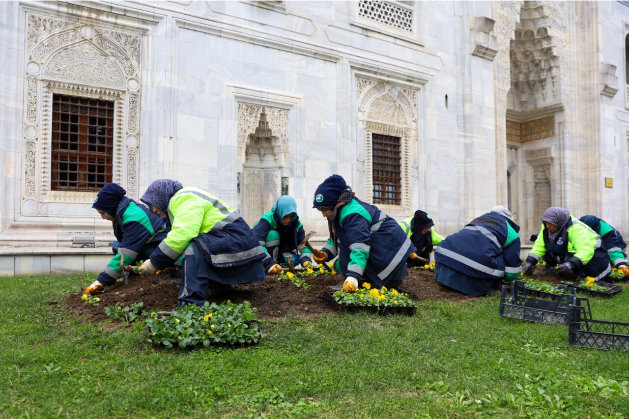 Bursa kışın da çiçek bahçesine dönüşüyor Bursa kışın da çiçek bahçesine dönüşüyor