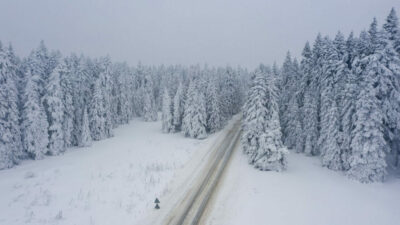Muhteşem görüntüler! Karla kaplı çam ağaçları…