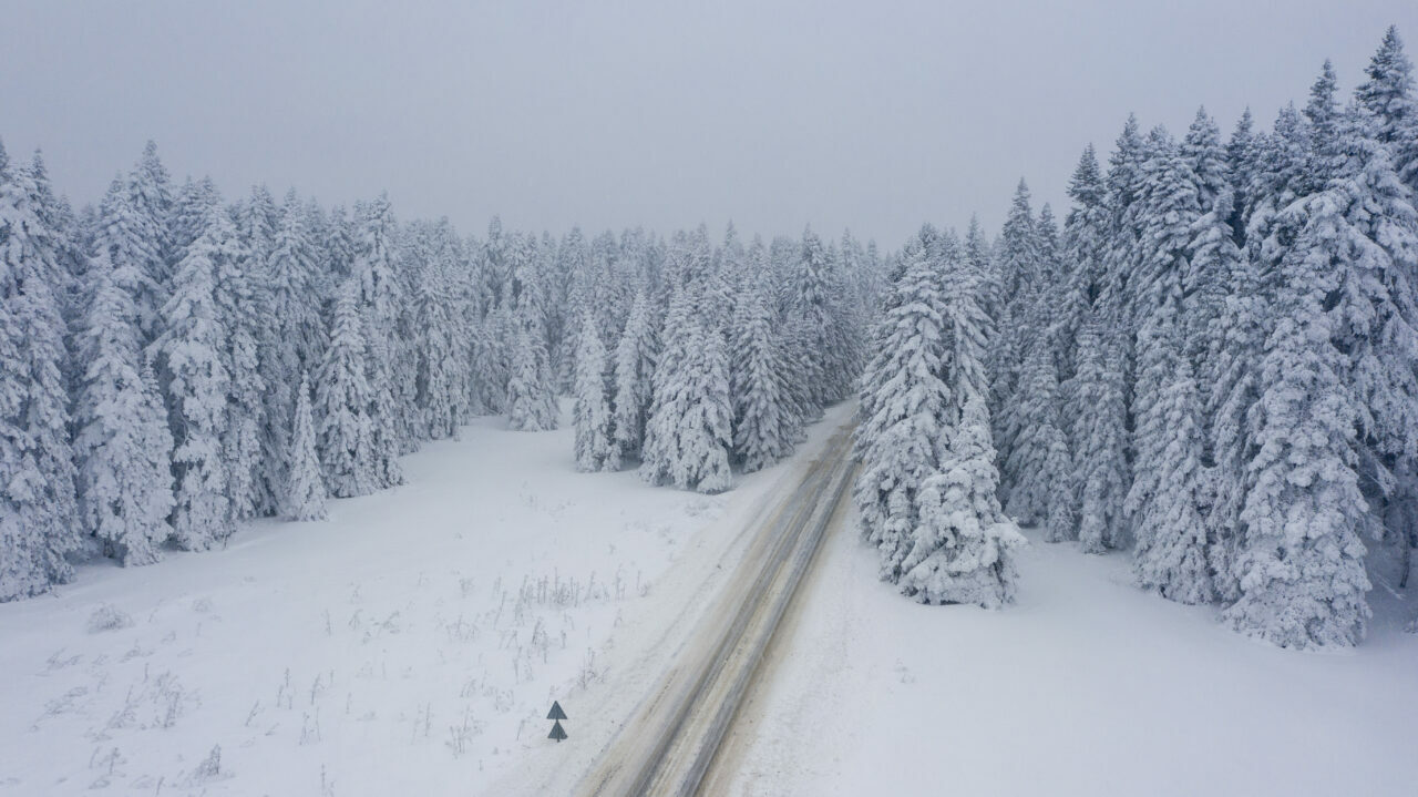Muhteşem görüntüler! Karla kaplı çam ağaçları… Muhteşem görüntüler! Karla kaplı çam ağaçları…