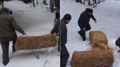 Bursa’da yaban hayvanlarına yem bırakıldı