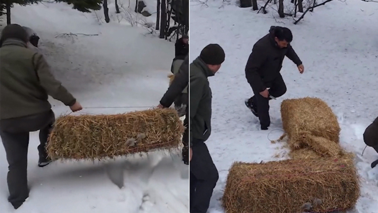 Bursa’da yaban hayvanlarına yem bırakıldı