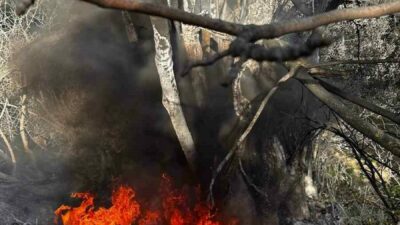 Bursa’da çıkan yangın büyümeden söndürüldü