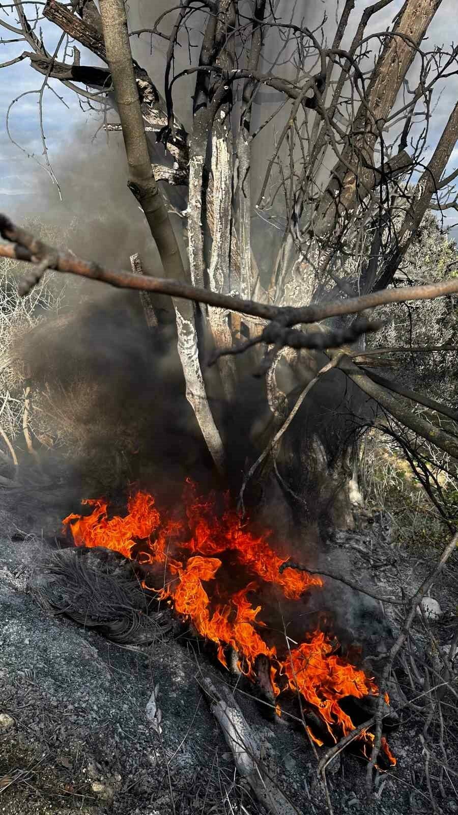 Bursa’da çıkan yangın büyümeden söndürüldü