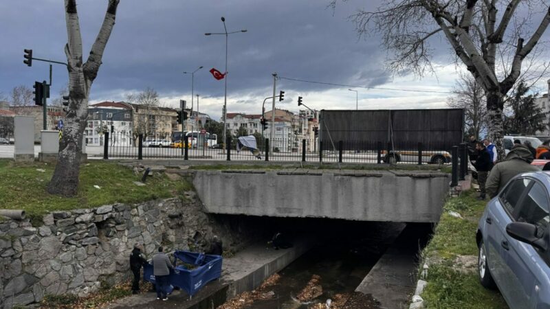 Bursa'nın Yıldırım ilçesinde yaklaşık 3 metre yükseklikten dere yatağına