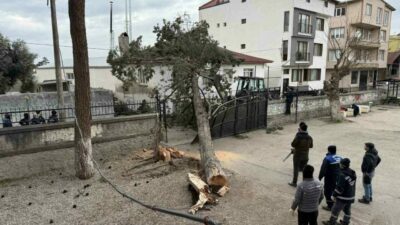 Bursa’da facia ucuz atlatıldı