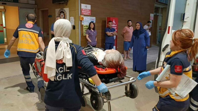 Bursa’da kahreden ölüm! 234 günlük yaşam mücadelesini kaybetti Bursa’nın İnegöl ilçesinde, yaya üst geçidini kullanmayıp, yoldan karşıya geçmeye