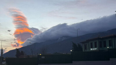 Bursa’da lodos esareti