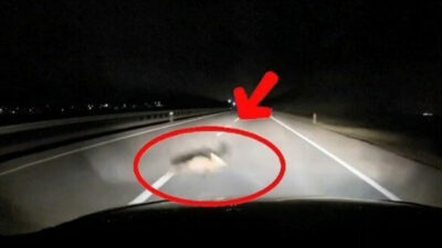 Bursa’da o anlar kamerada! Önüne aniden çıktı…