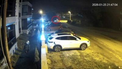 Bursa’da otomobil zeytin ağacına çarptı! Kaza anı kamerada