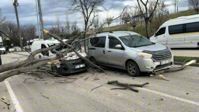 Bursa’da fırtına kâbusu! Seyir halindeki araçların üzerine devrildi