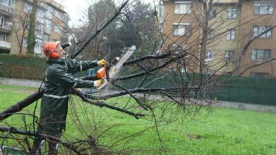 Bursa’da şiddetli rüzgara karşı Büyükşehir sahada