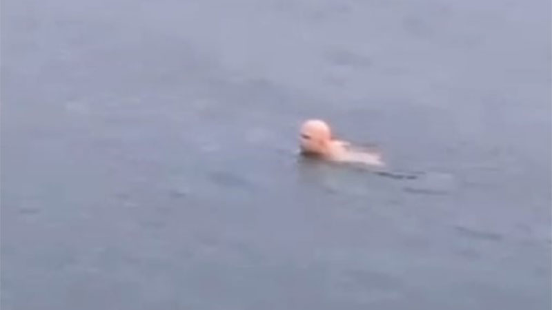 Bursa’da hayrete düşüren görüntü: ‘Dondurucu soğukta deniz keyfi’