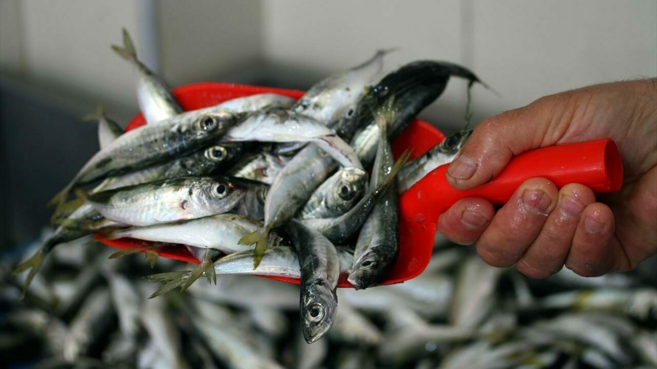 Fiyatı en fazla artan ve düşen ürünler belli oldu Fiyatı en fazla artan ve düşen ürünler belli oldu