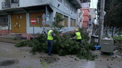 Bursa’da lodosla mücadele
