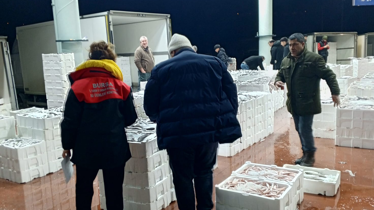 Bursa Balık Hali’nde gece denetimi Bursa Balık Hali’nde gece denetimi