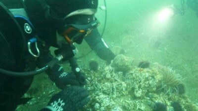 Belediye başkanlarına Marmara’ya dalış çağrısı