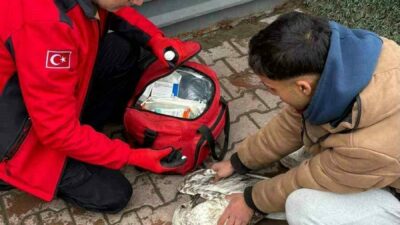 Mudanya’da can mücadelesi: Bakın nasıl kurtarıldı…