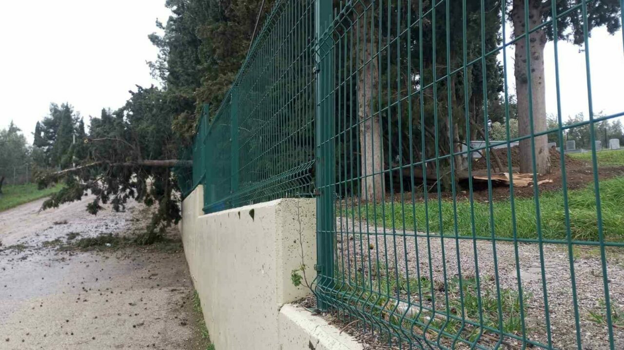 Mudanya’da lodos ve yangın paniği