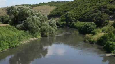 Bursa’dan Marmara’ya büyük tehdit!