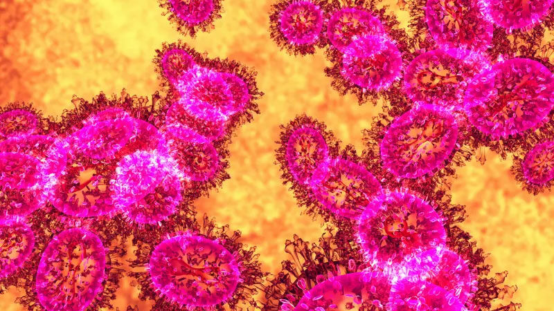 Nipah virüsü yayılıyor mu? Asya alarmda… Nipah virüsü yayılıyor mu? Asya alarmda…