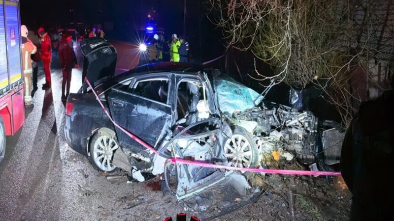 Bursa'nın İnegöl ilçesinde otomobilin ağaca çarptığı, Sena Arslan (24) ile