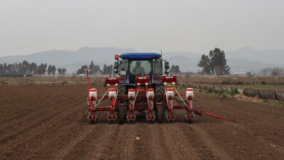 Tarım için kötü haber! Yüzde 19 azaldı