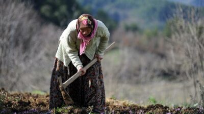 Bursa’da köye dönüş için çağrı