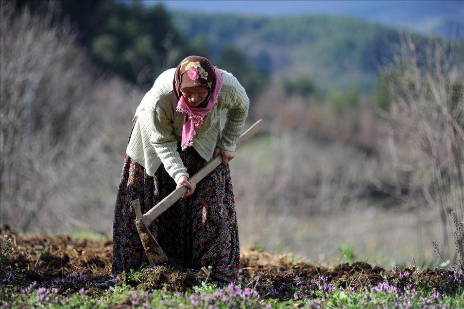 Bursa’da köye dönüş için çağrı