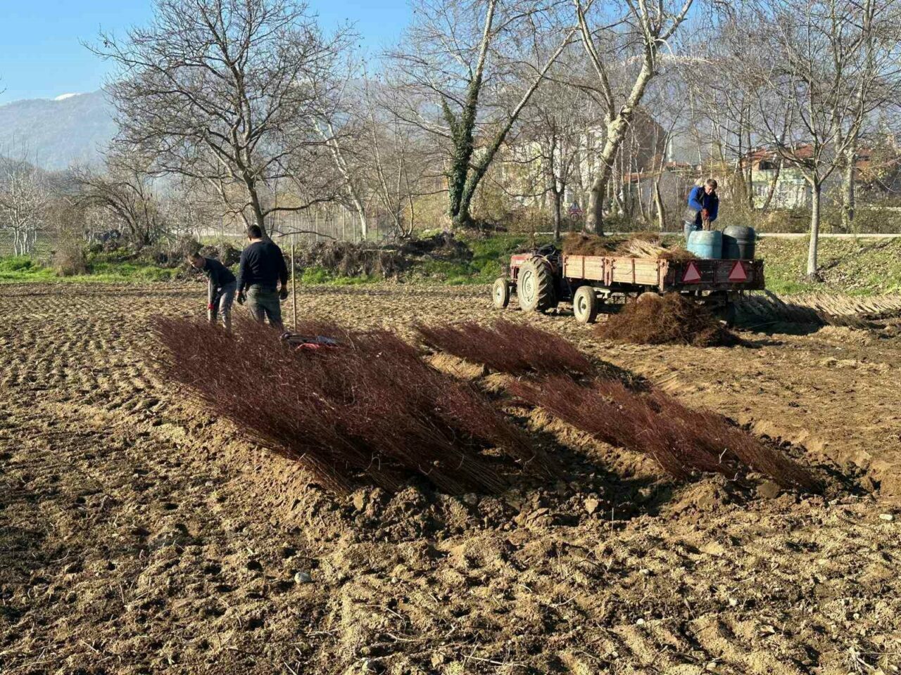 Türkiye’deki her meyve bahçesine “Bursa” imzası