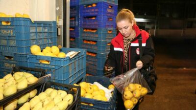 Bursa’da yaş meyve ve sebzeye sıkı takip! Pestisit denetimleri yoğunlaştı