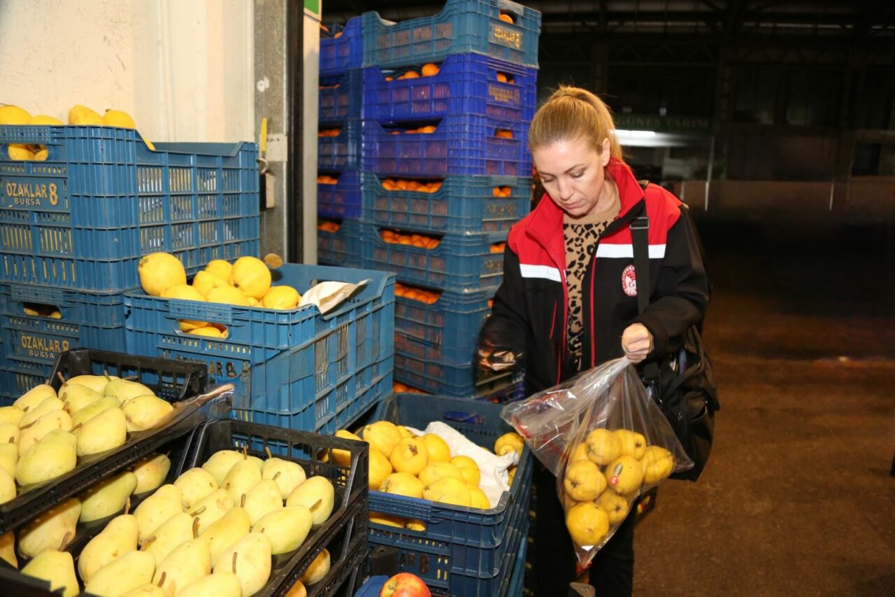 Bursa’da yaş meyve ve sebzeye sıkı takip! Pestisit denetimleri yoğunlaştı
