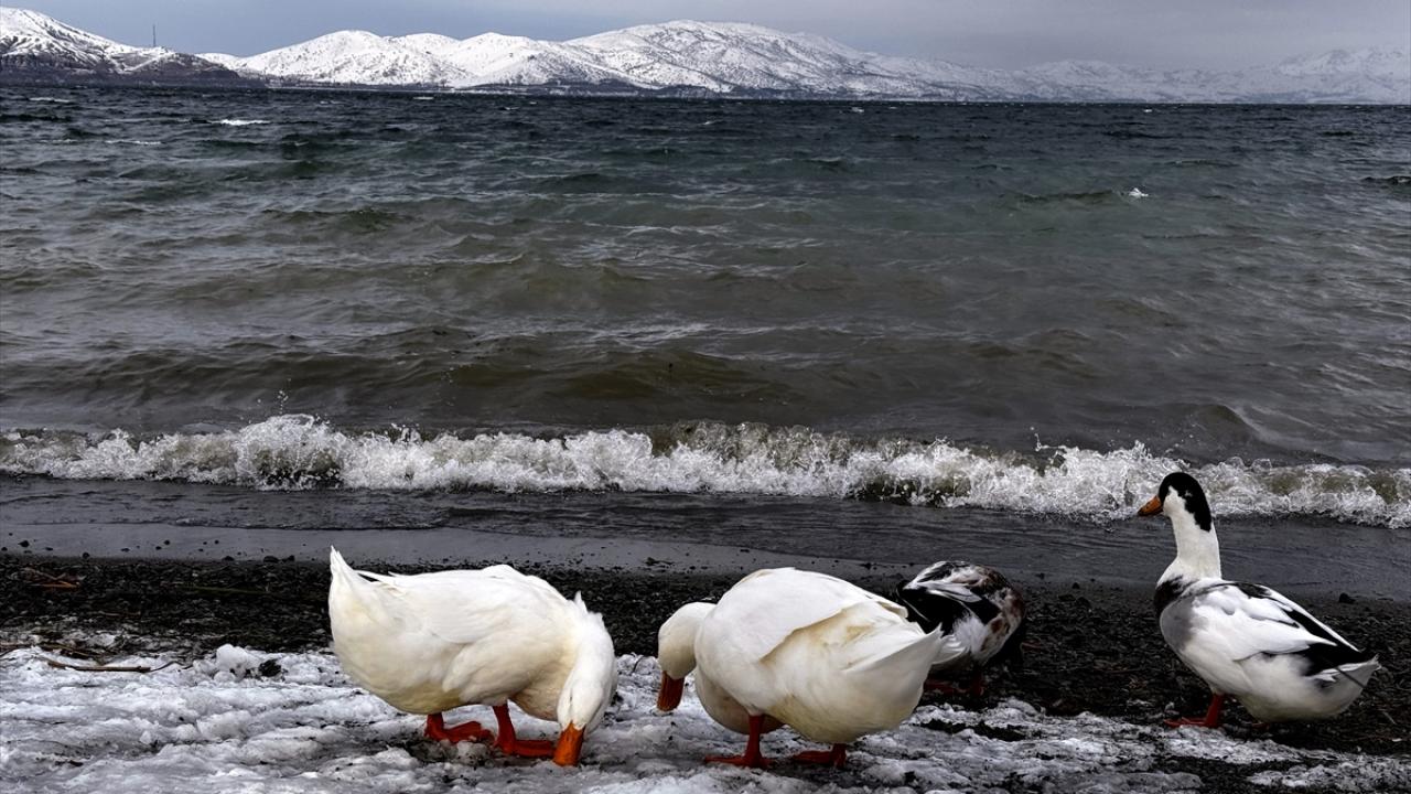 Her mevsim ziyaretçi ağırlıyor…