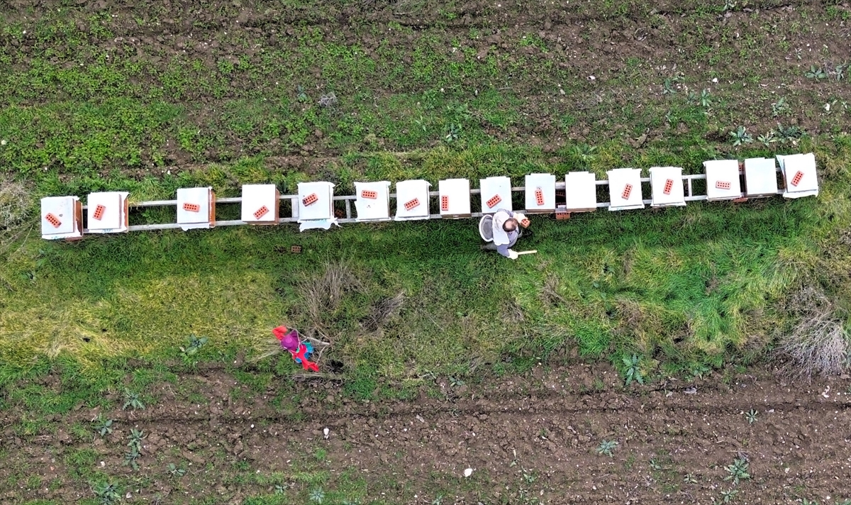 “Köyde bir kovanın olsun”