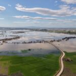 Tarım arazileri zarar gördü!