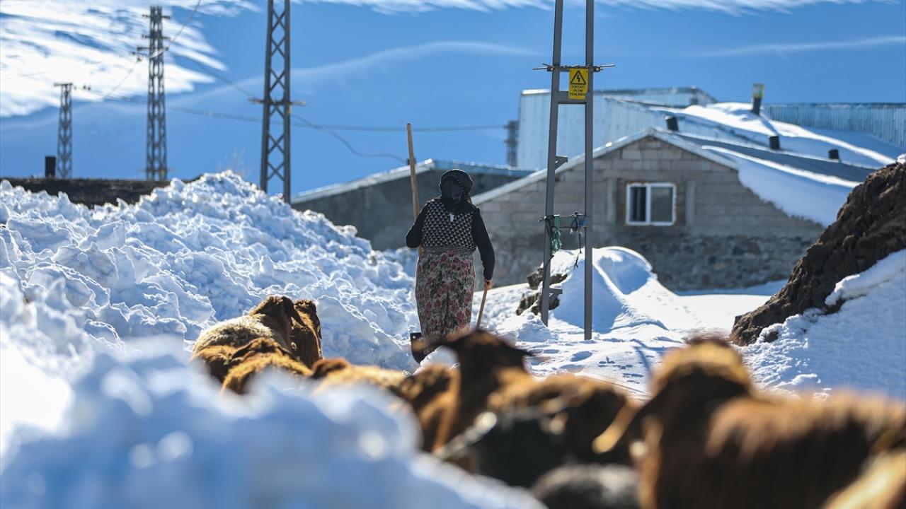 3 metre kar ve dondurucu soğuğa karşı mücadele!