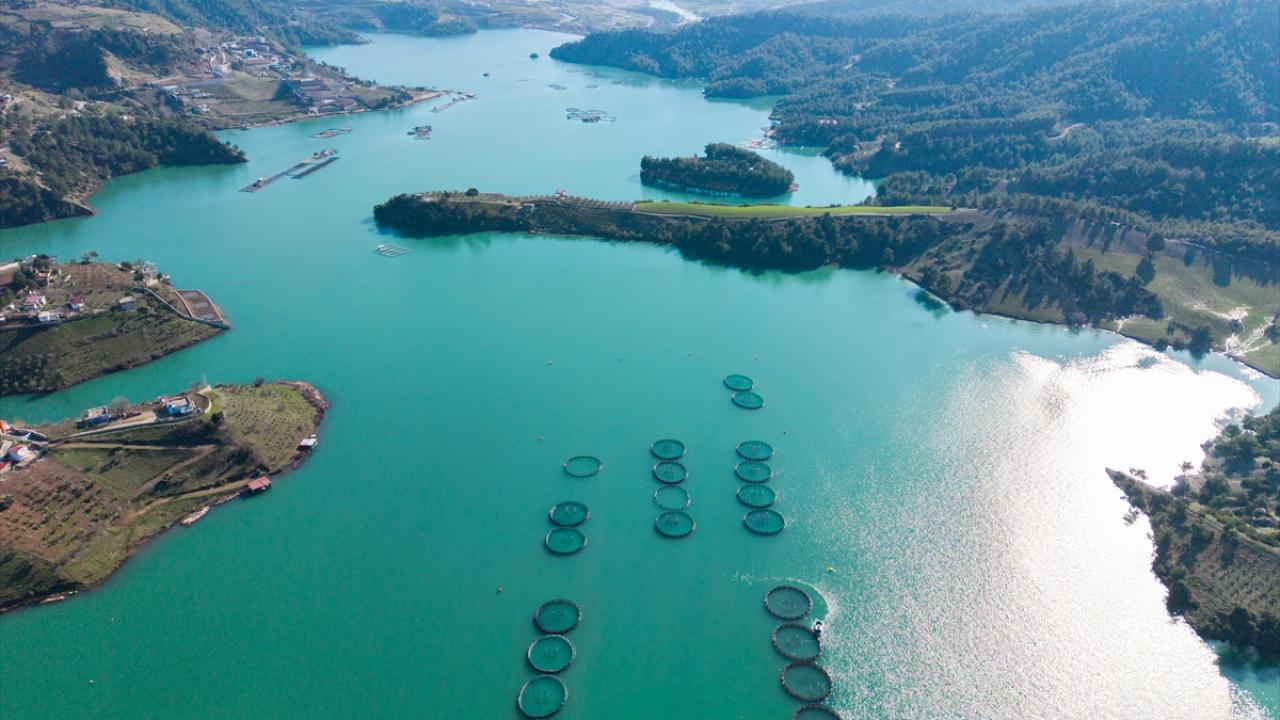 Bölge ekonomisine katkı! Yurt dışına ihraç ediliyor…