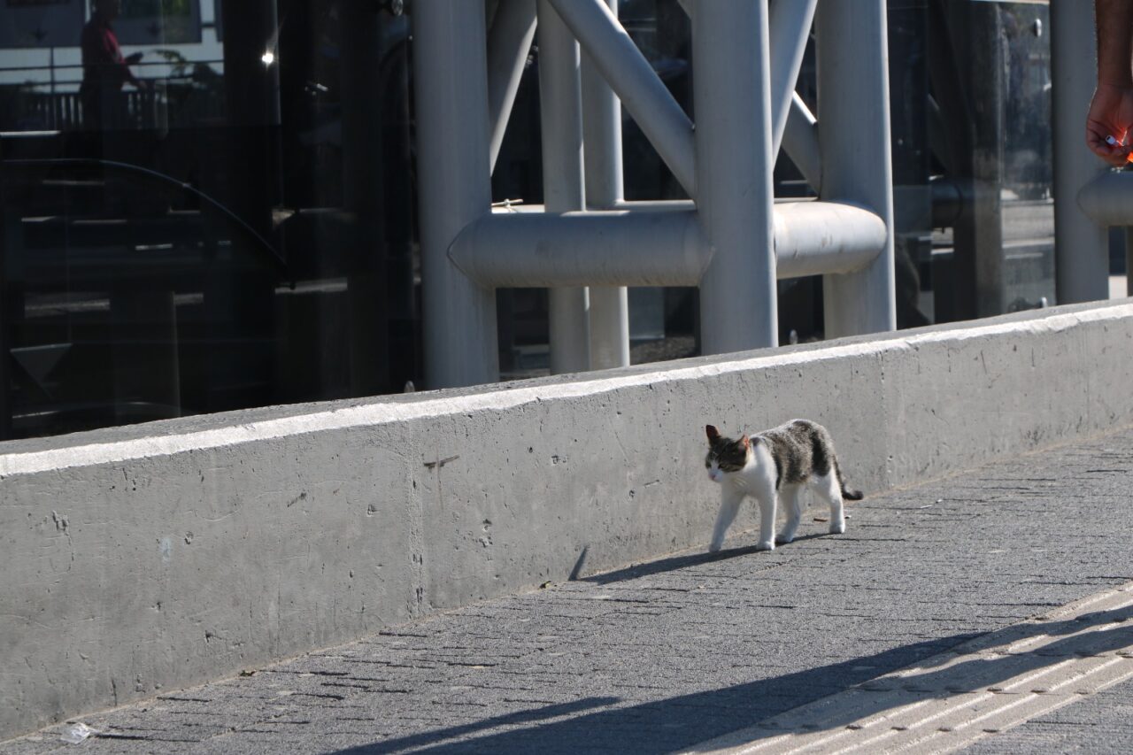 BURULAŞ’tan Bursalılara metro istasyonlarındaki mama ve su kapları için çağrı;