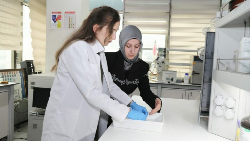 Bursa Teknik Üniversitesi (BTÜ), diş tedavilerinde kullanılan ithal dentalmembranlara alternatif