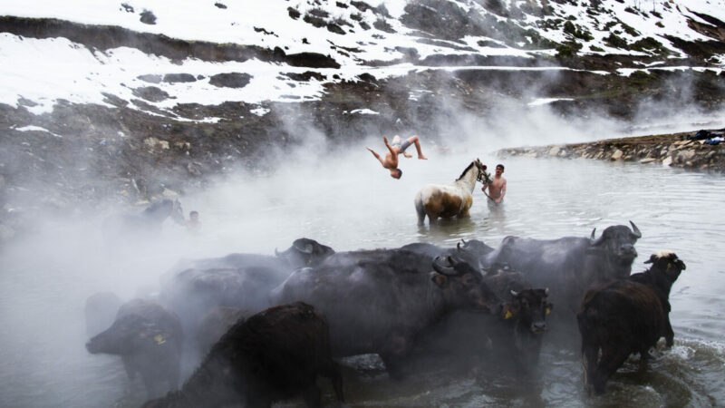 Atlar ve mandalarla kaplıca keyfi! Burası Türkiye’de nerede?