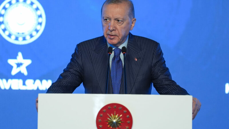 Cumhurbaşkanı Erdoğan: ‘Dünyada yıldızı giderek yükselen bir Türkiye var’ Cumhurbaşkanı Erdoğan: ‘Dünyada yıldızı giderek yükselen bir Türkiye var’