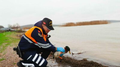 Bursa’da kaçak avcılara ceza yağdı