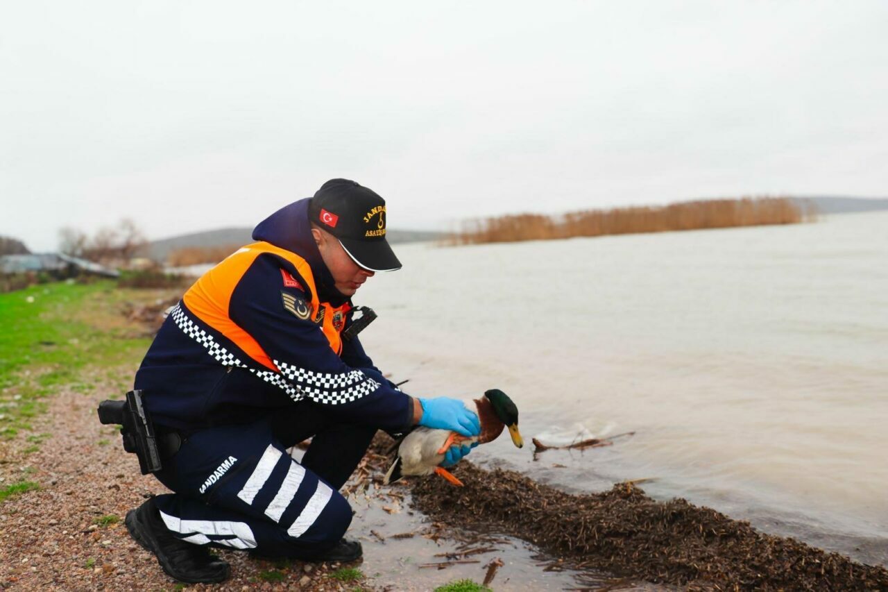 Bursa’da kaçak avcılara ceza yağdı