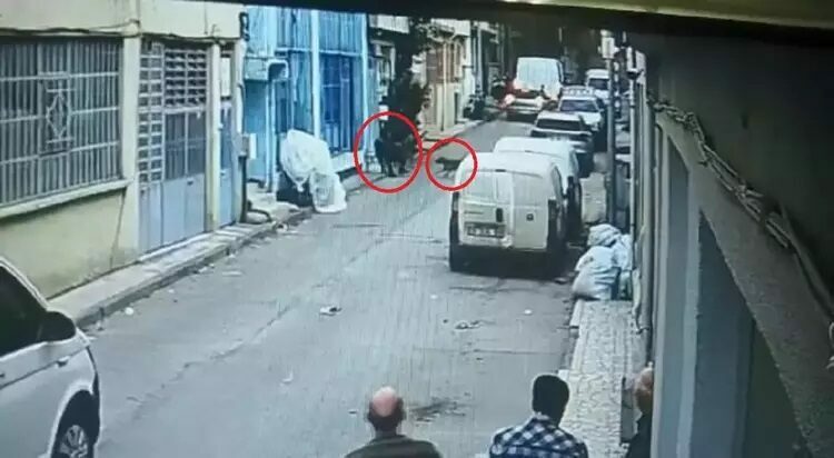 Bursa’da pitbull ile saldırı davasında karar