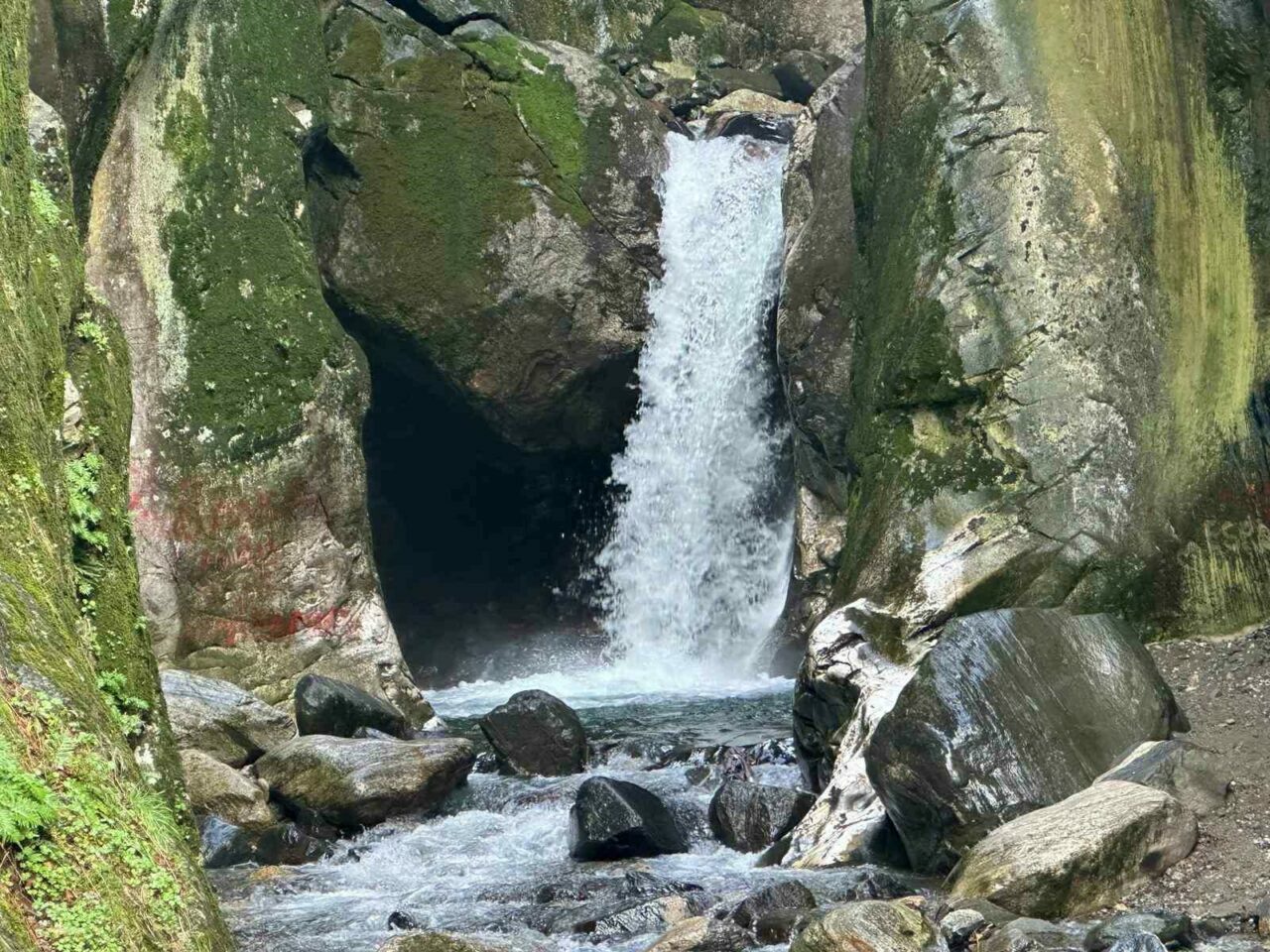 Bursa’nın doğa harikasından güzel haber!