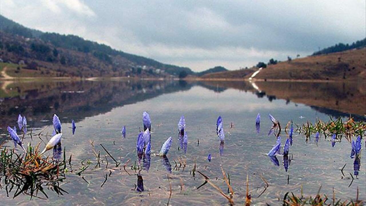 Cemrenin ikincisi suya düştü Cemrenin ikincisi suya düştü