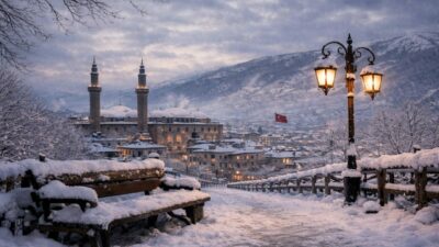 Mehmet Ali İnan yazdı; Siyasetin gel gitleri