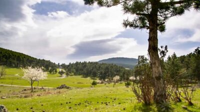 Bursa’nın gizli hazinesini ortaya çıkaracak yeni projeler