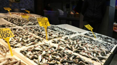 İstavritten iyi, hamsiden ise kötü haber!