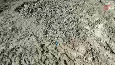 Kayıp Çinli iş insanı toprağa gömülü bulundu