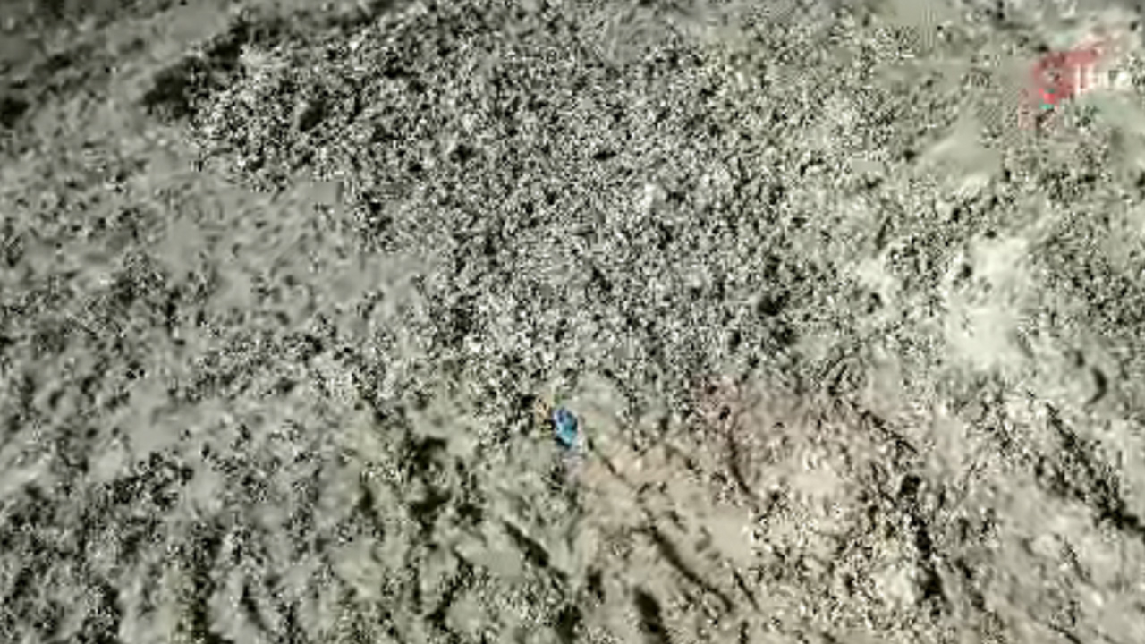 Kayıp Çinli iş insanı toprağa gömülü bulundu